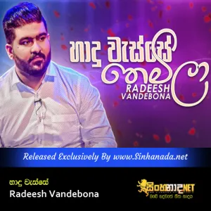 Cover Art – Hadu Wesse Themila - Radeesh Vandebona.mp3