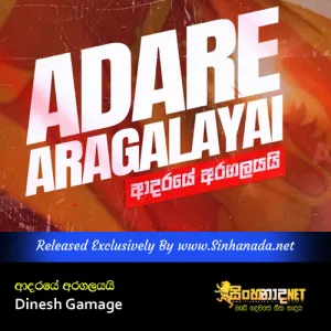 Cover Art – Adare Aragalayai - Dinesh Gamage.mp3