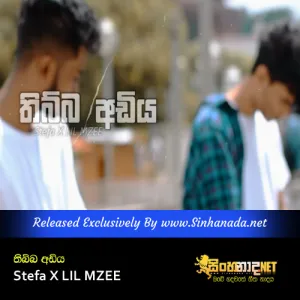 Cover Art – Thibba Adiya - Stefa X LIL MZEE.mp3