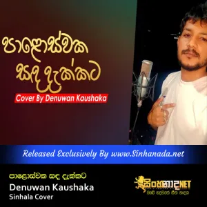 Cover Art – Paloswaka Sanda Dakkata Cover Denuwan Kaushaka Sinhala Cover.mp3