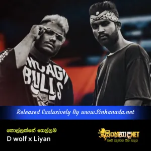 Cover Art – Hollanne Sellama - D wolf x Liyan.mp3