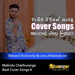 Cover Art – Malindu Chathuranga Best Cover Songs 6.mp3