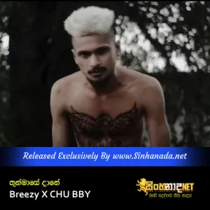 Thummase Dane - Breezy X CHU BBY.mp3