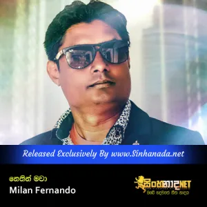 Cover Art – Nethin Mawa - Milan Fernando.mp3