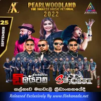 Cover Art – 20.VIRAJINI NONSTOP - SECRET.mp3