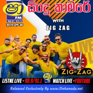 Cover Art – 25.END DJ STYLE NONSTOP - Sinhanada.net - ZIG ZAG.mp3