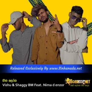 Cover Art – Heena Loka - Vishu & Shaggy BM Feat. Nima d enzor.mp3