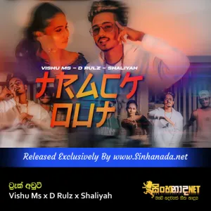 Cover Art – Track Out - Vishu Ms x D Rulz x Shaliyah.mp3
