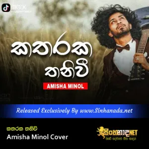 Cover Art – Katharaka Thaniwee - Amisha Minol Cover.mp3