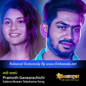 Cover Art – Paawee Athata - Pramoth Ganearachichi Salena Nuwan Teledrama Song.mp3