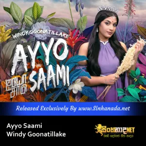 Cover Art – Ayyo Saami - Windy Goonatillake.mp3