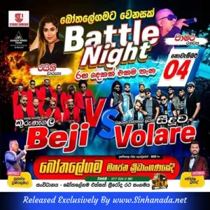 Cover Art – 11.WASTHI SONGS NONSTOP - VOLARE.mp3