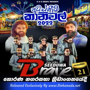 Cover Art – 03.DJ NONSTOP - SEEDUWA BRAVE.mp3