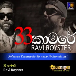 Cover Art – 33 Kamare - Ravi Royster.mp3