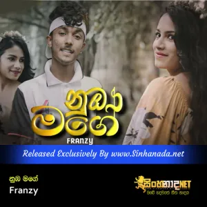 Cover Art – Nuba Mage - Franzy.mp3