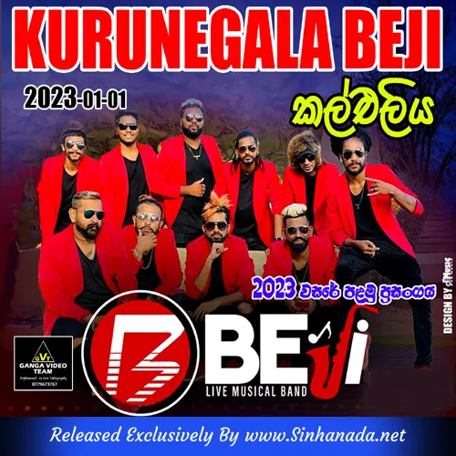 Cover Art – 06.DAMITH ASANKA SONGS NONSTOP - KURUNEGALA BEJI.mp3