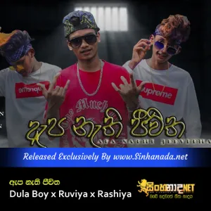 Cover Art – Apa Nathi Jeewitha - Dula Boy x Ruviya x Rashiya.mp3