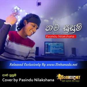 Cover Art – Palu Susum Cover by Pasindu Nilakshana.mp3