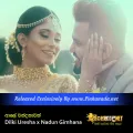 Cover Art – Aaley Wandanawak - Dilki Uresha x Nadun Gimhana.mp3