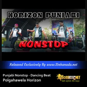 Cover Art – Punjabi Nonstop - Live Show - Dancing Beat - Polgahawela Horizon.mp3