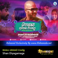 Cover Art – Mathakaya Amathaka Wagelu - Shan Diyagamage.mp3