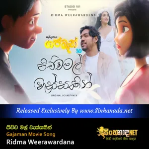 Cover Art – Pichchamal Wassakin - Gajaman Movie Song - Ridma Weerawardana.mp3