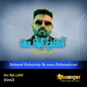 Cover Art – Oya Nil Dasin - Dimi3.mp3