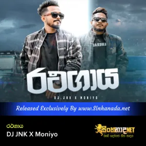 Ratha Gaaya - DJ JNK X Moniyo.mp3