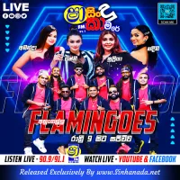 24.JOTHI HIT MIX SONGS NONSTOP - AHUNGALLA FLAMINGOES.MP3