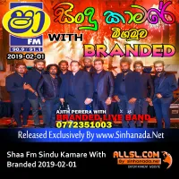 Cover Art – 13.ADARE NATHIWADA - Sinhanada.net - BRANDED.mp3