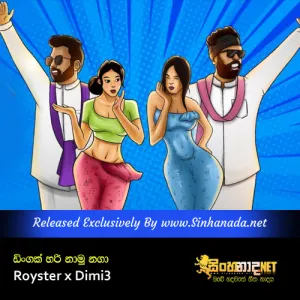 Cover Art – Dingak Hari Naamu Naga - Royster x Dimi3.mp3