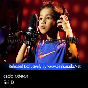 Cover Art – Wassa Wahinawa - Sri D.mp3