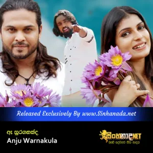 Cover Art – Ae Suraganakda - Anju Warnakula.mp3