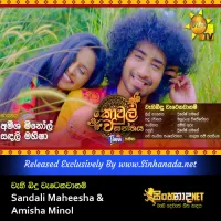 Cover Art – Wahi Bindu Watenawanam - Sandali Maheesha & Amisha Minol.mp3