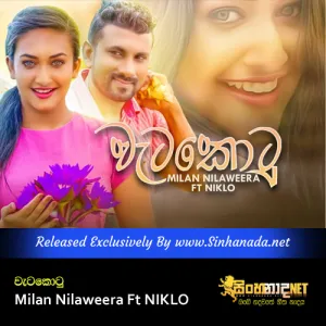 Cover Art – Wetakotu - Milan Nilaweera Ft NIKLO.mp3