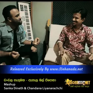 Cover Art – Chanchala Hegumaka - Ahala Mal Pipena Mashup - Sanka Dineth & Chandana Liyanarachchi.mp3
