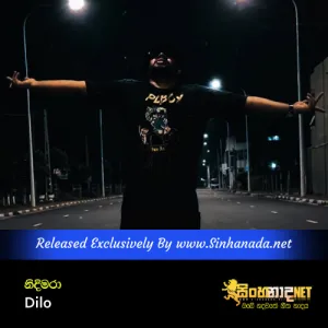 Cover Art – Nidimara - Dilo.mp3