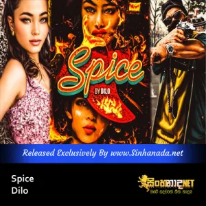 Cover Art – Spice - Dilo.mp3