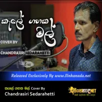 Cover Art – Kale Gahaka Mal - W.D. Amaradewa Cover By Chandrasiri Sedarahetti.mp3
