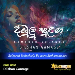 Cover Art – Dambulu Sulaga - Dilshan Gamage.mp3