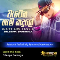 Cover Art – Wetena Hema Kadule - Dileepa Saranga.mp3