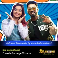 Cover Art – Tracka Panapu Heenayak - Dinesh Gamage X Hana.mp3