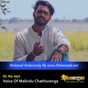 Cover Art – Madu Mala lesa Voice Of Malindu Chathuranga.mp3