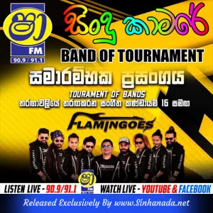 Cover Art – 08.SANGEETH SONGS NONSTOP - AHUNGALLA FLEMINGOES.MP3