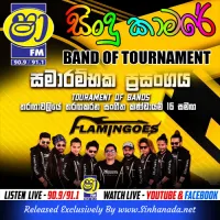 Cover Art – 19.BABARA NADE - HOMAGAMA VIP.MP3