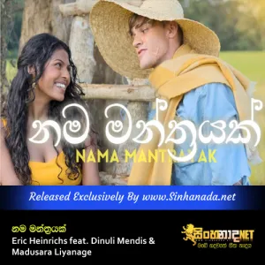 Cover Art – Nama Mantrayak - Eric Heinrichs feat. Dinuli Mendis & Madusara Liyanage.mp3