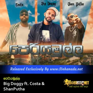 Cover Art – Periyamulla - Big Doggy ft. Costa & Shan Putha.mp3