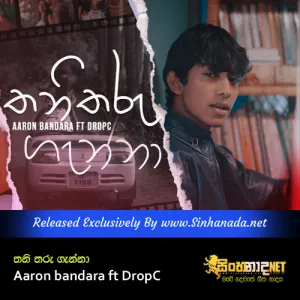 Cover Art – Thani Tharu Ganna - Aaron bandara ft DropC.mp3