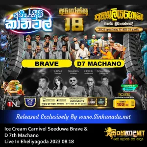 Cover Art – 17.KAVEESHA SONGS NONSTOP - SEEDUWA BRAVE.mp3