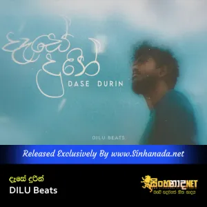 Cover Art – Dase Durin - DILU Beats.mp3